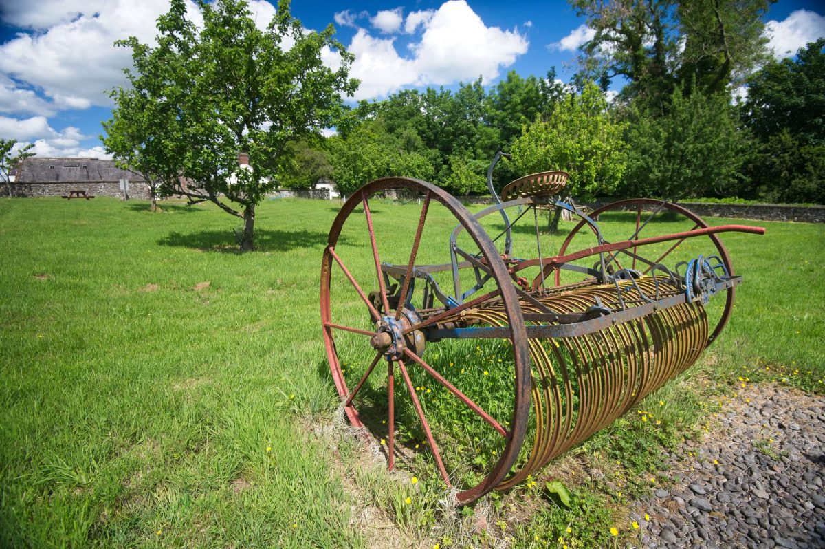 Vintage farming implement in the orchard